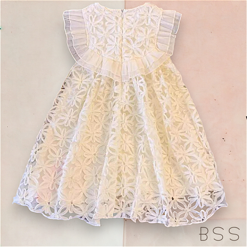 Vestido Infantil Festa com Bordado
