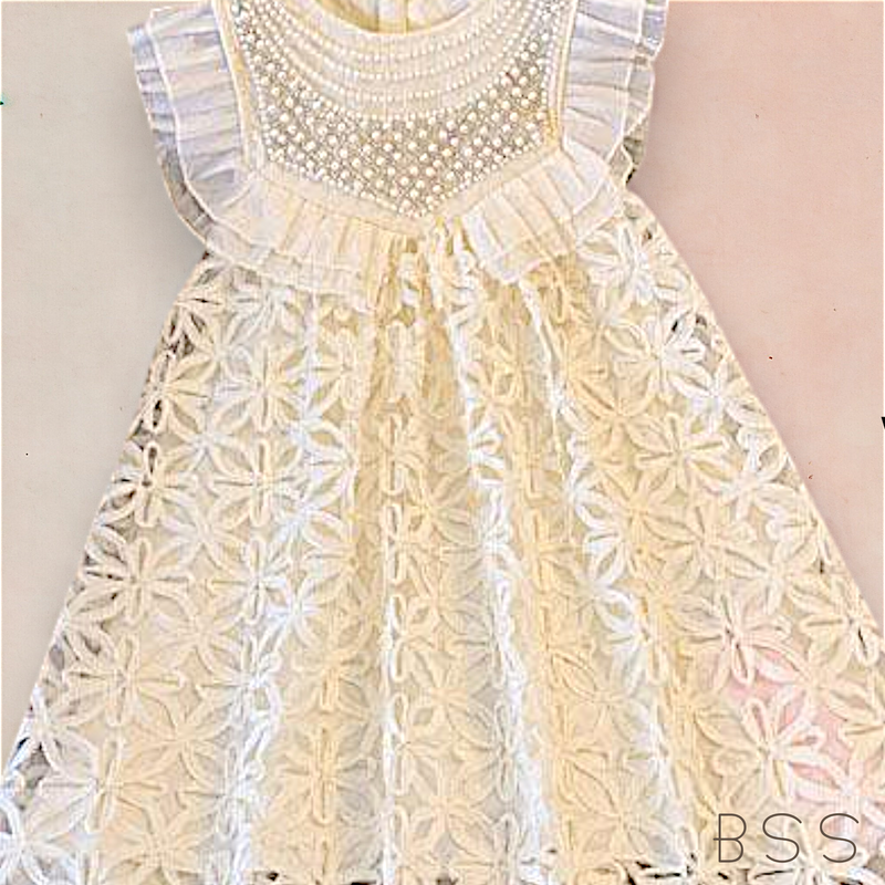 Vestido Infantil Festa com Bordado