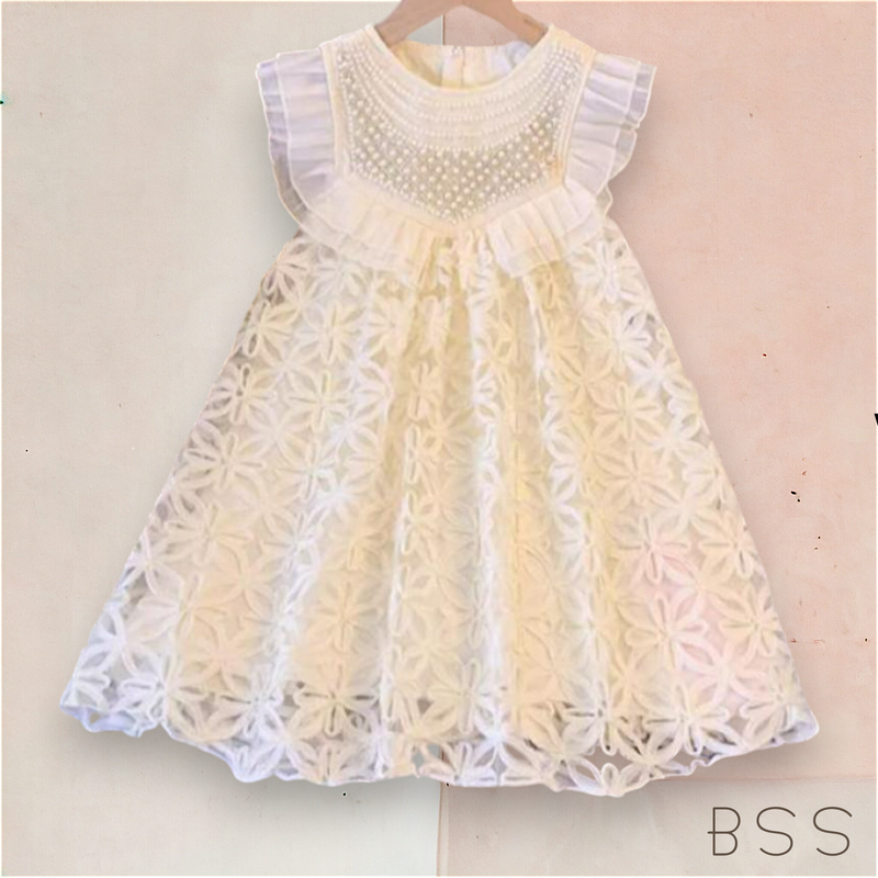 Vestido Infantil Festa com Bordado